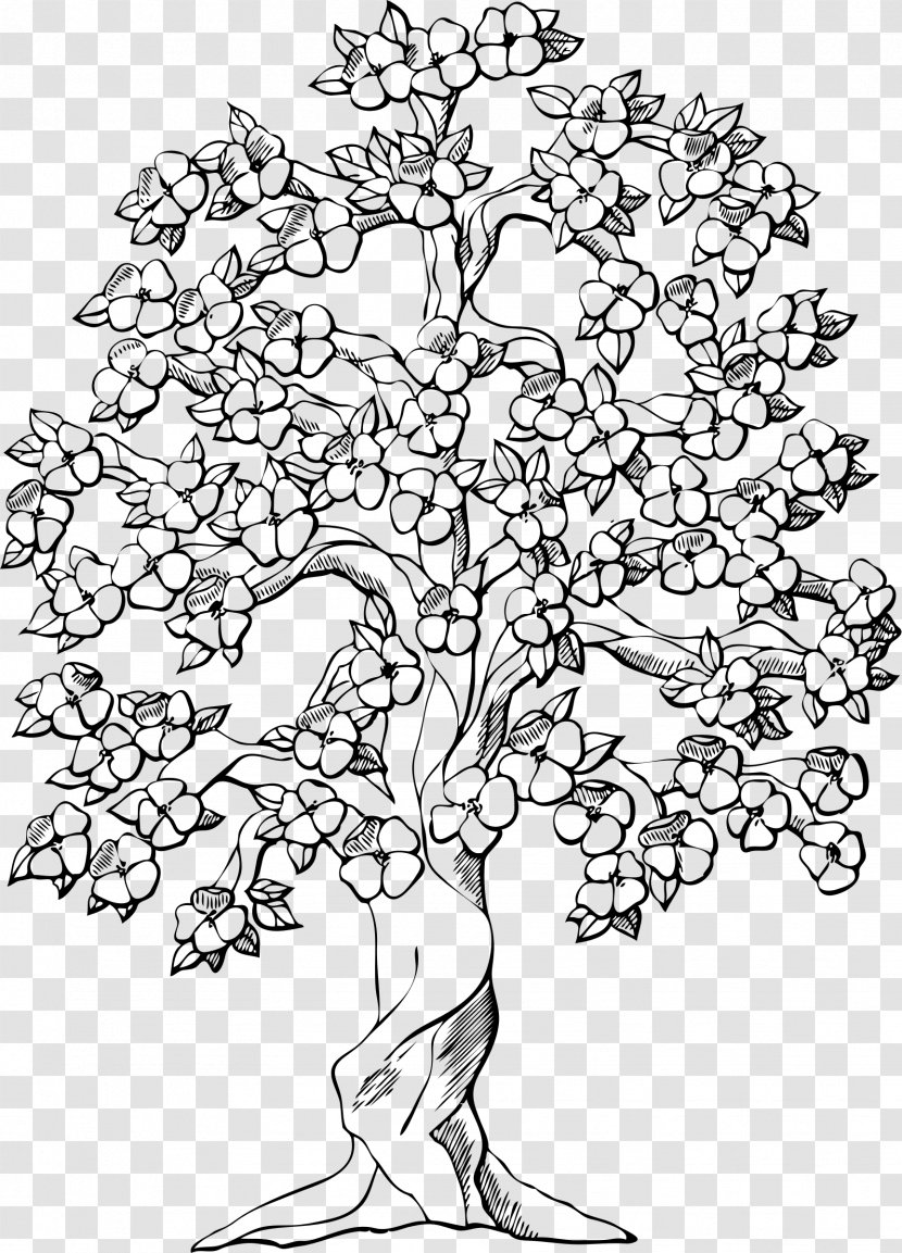 Coloring Book Tree Apple Almond Child - Line Art - Albero Della Vita Transparent PNG