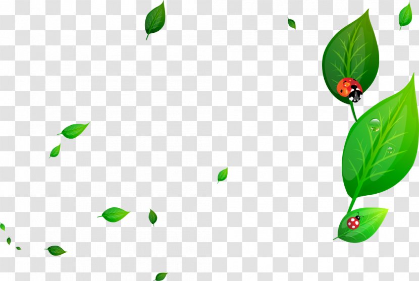 Ladybird Glass Green - Leaves Transparent PNG