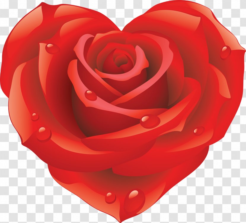 Sticker Love Rose Heart - Floribunda - Red Decorative Transparent PNG
