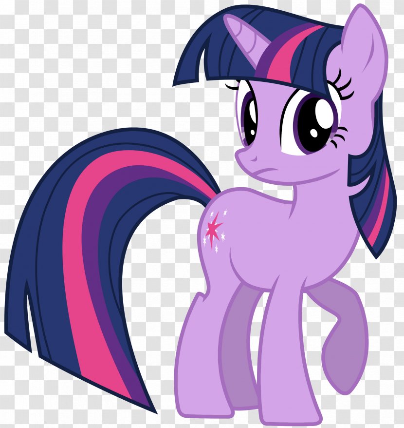 Twilight Sparkle Rainbow Dash Pony Applejack Rarity - Fictional Character Transparent PNG