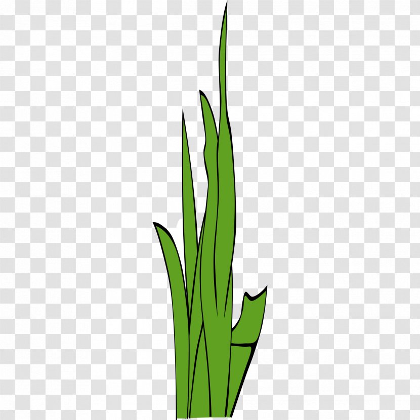 Grasses Clip Art - Family - Clump Cliparts Transparent PNG