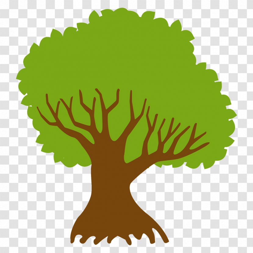 Green Tree Plant Leaf Grass - Broadleaf - Logo Vegetable Transparent PNG
