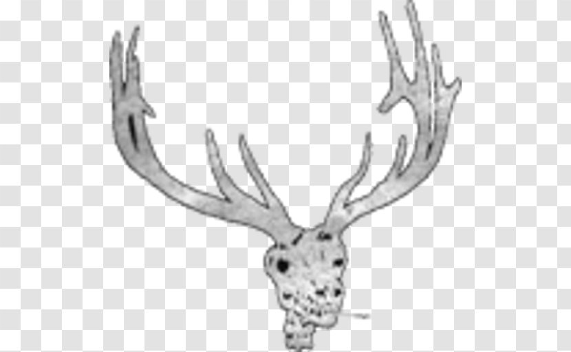 Virginia Beach Elks Lodge #2268 Benevolent And Protective Order Of South First Colonial Road Reindeer Norfolk - Animal Figure - Brigantine Bpoe Transparent PNG