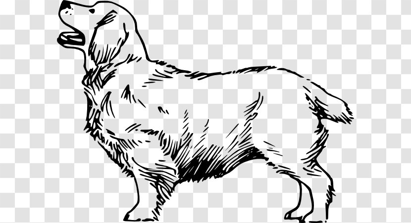 Drawing Dogs Beagle Clip Art - Paw - Cocker Spaniel Clipart Transparent PNG