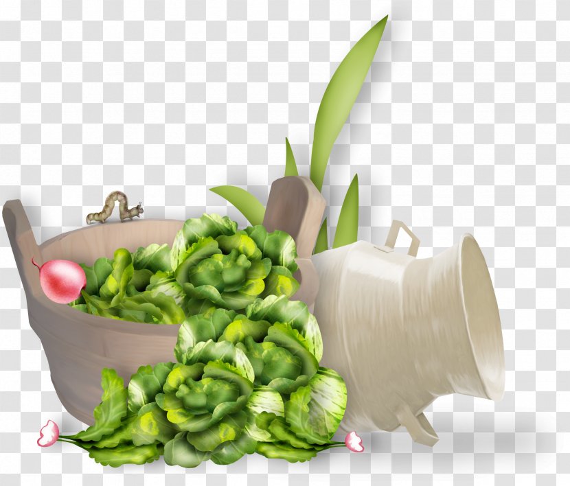 Leaf Vegetable Cauliflower Food Clip Art - Vegetarianism - Vegetables Material Transparent PNG