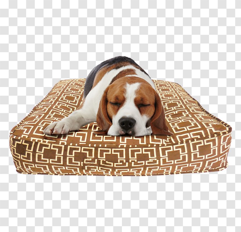 Dog Breed Beagle Puppy Bed Pillow - Companion Transparent PNG