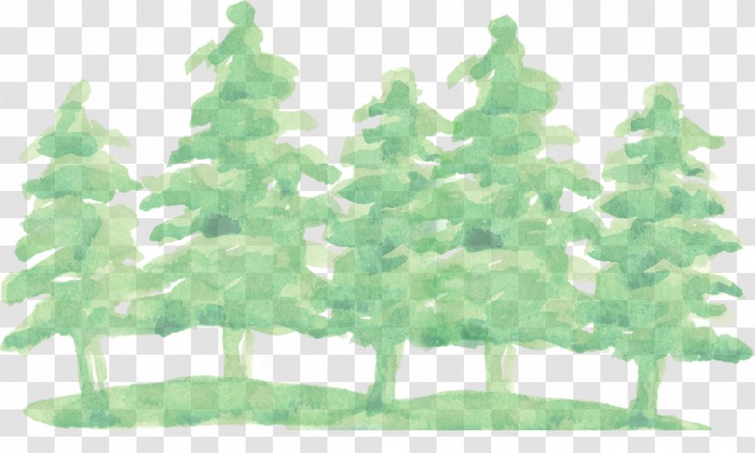 Woodfield Academy Watercolor Painting Vector Graphics Image - Evergreen - Tree Transparent PNG