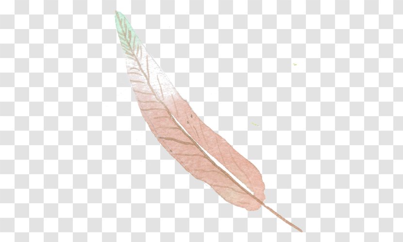 Feather Euclidean Vector Color - Gratis - Hand-painted Pink Feathers Transparent PNG