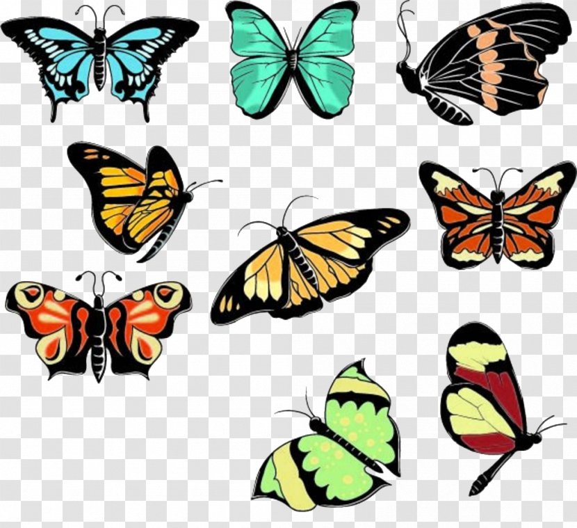 Butterfly Euclidean Vector Illustration - Brush Footed Transparent PNG