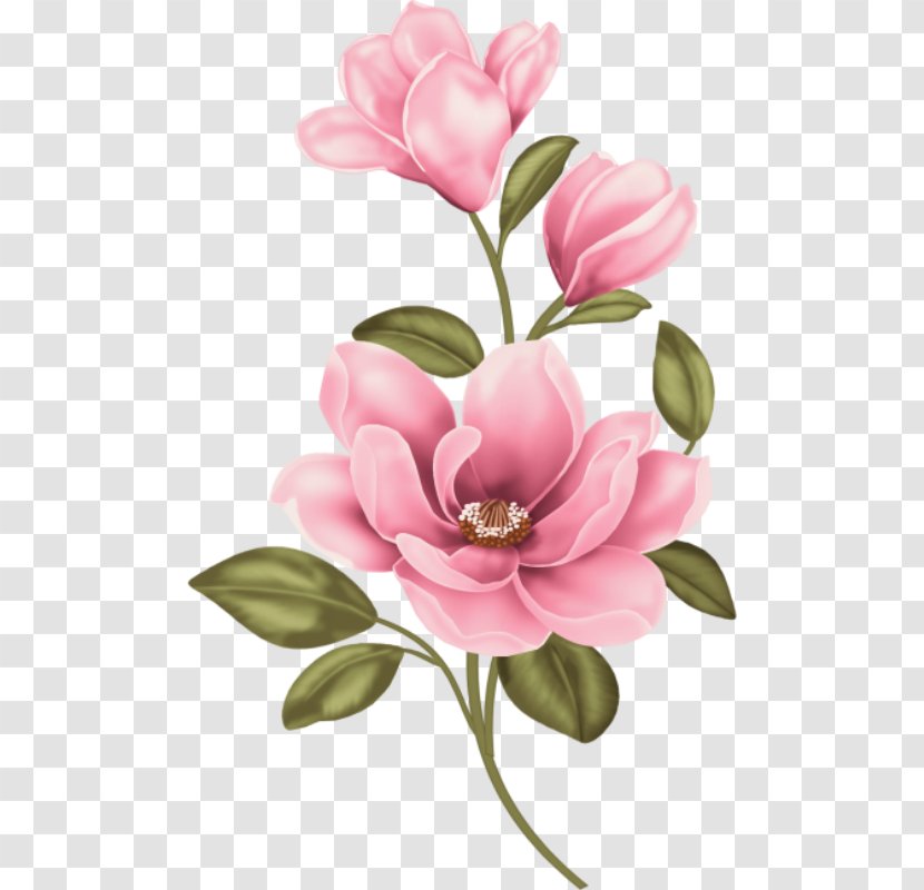 Painting Flower Chinese Magnolia Paint Your Own Masterpiece Clip Art - Cut Flowers - Blossom Transparent PNG