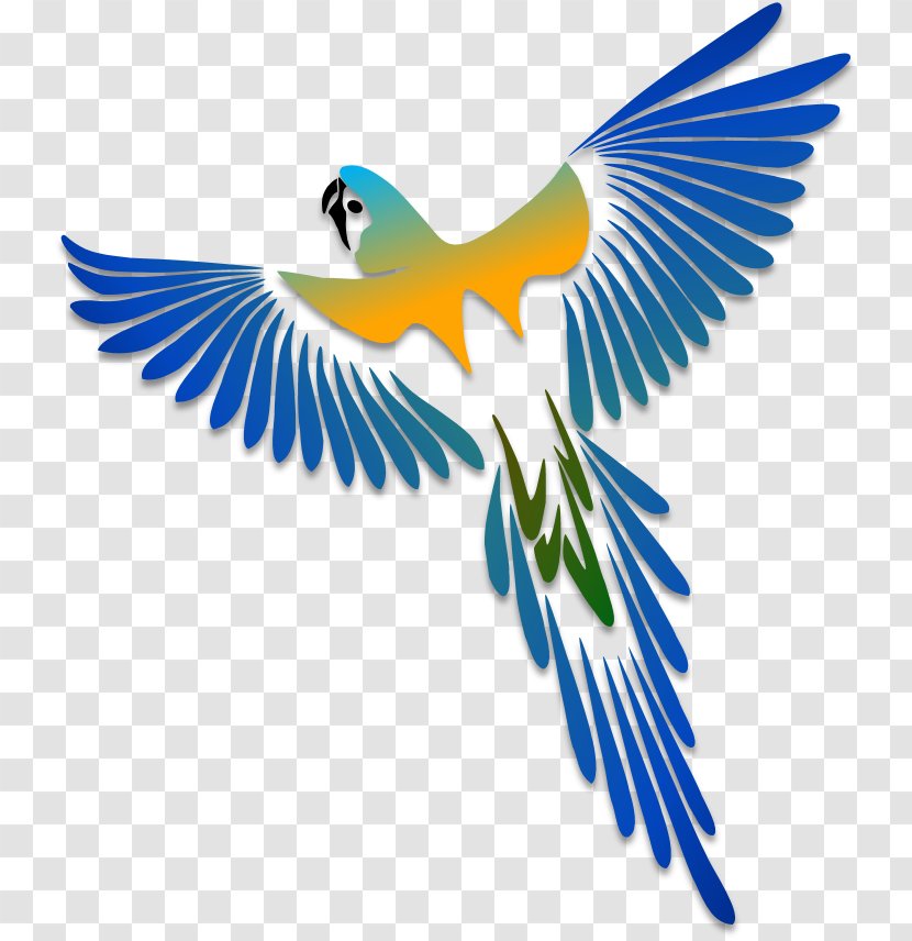 Parrot Bird Stencil Drawing - Art - Illustration Transparent PNG