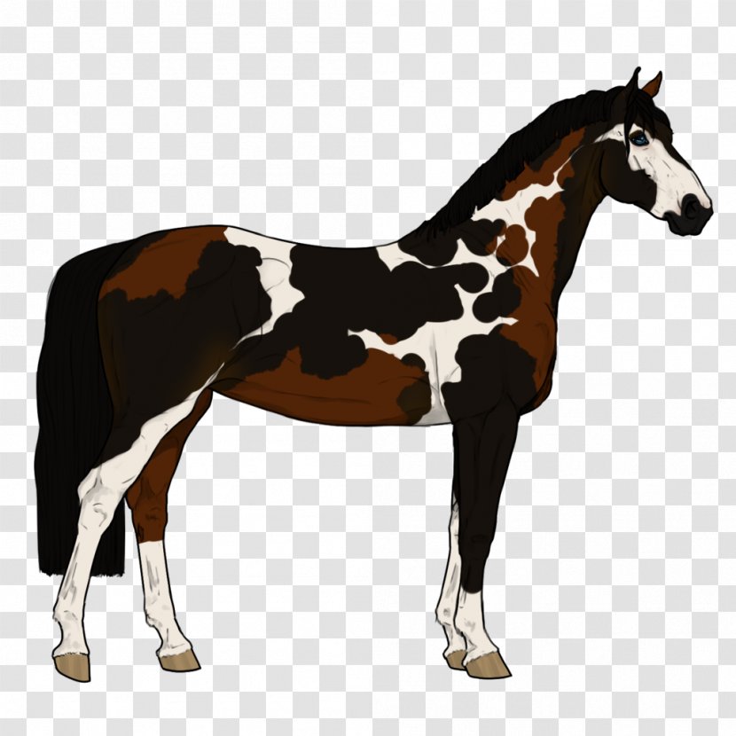 Mustang Foal Stallion Colt Mare - Horse Transparent PNG