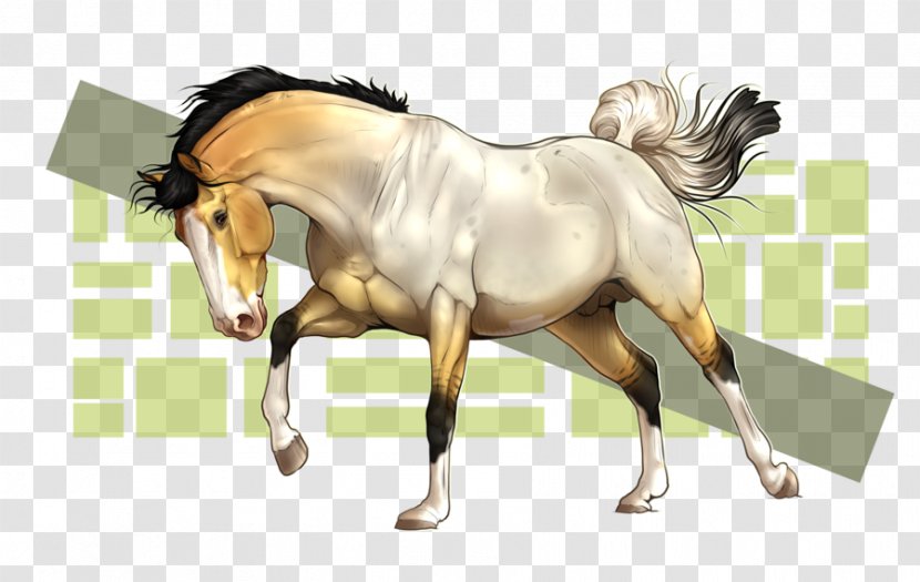 Foal Mane Stallion Mare Mustang Transparent PNG