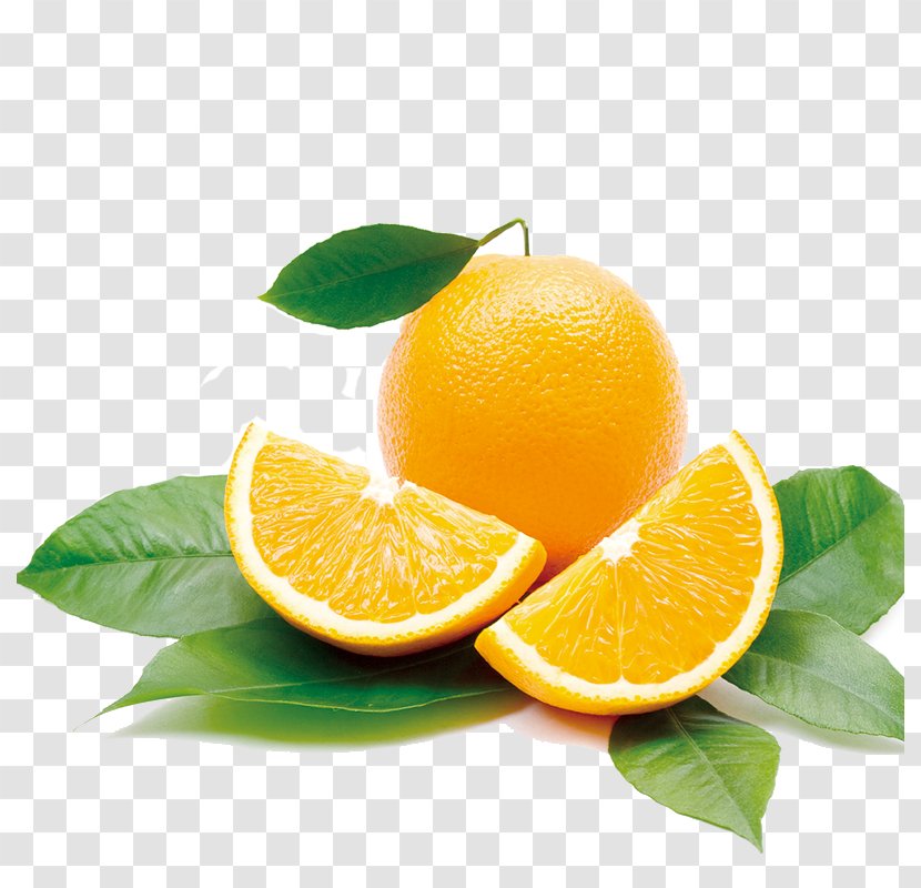 Orange Juice Mandarin Health Fruit - Essential Oil Transparent PNG