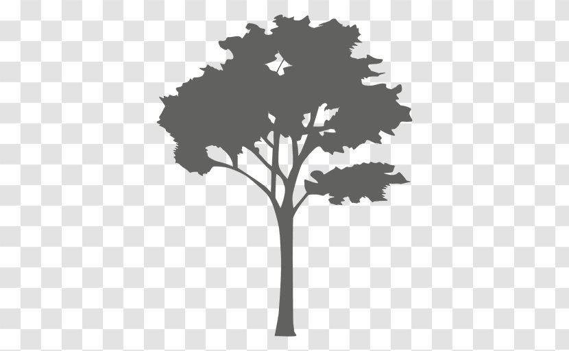 Tree Silhouette - Vector Transparent PNG