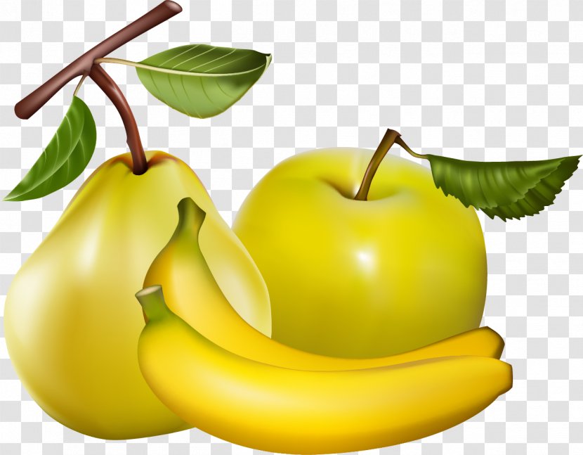 Fruit Clip Art - Superfood - Pear Transparent PNG
