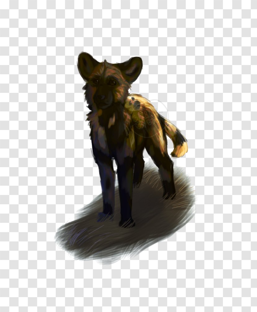 Canidae Dog Fur Snout Mammal - Wild Transparent PNG