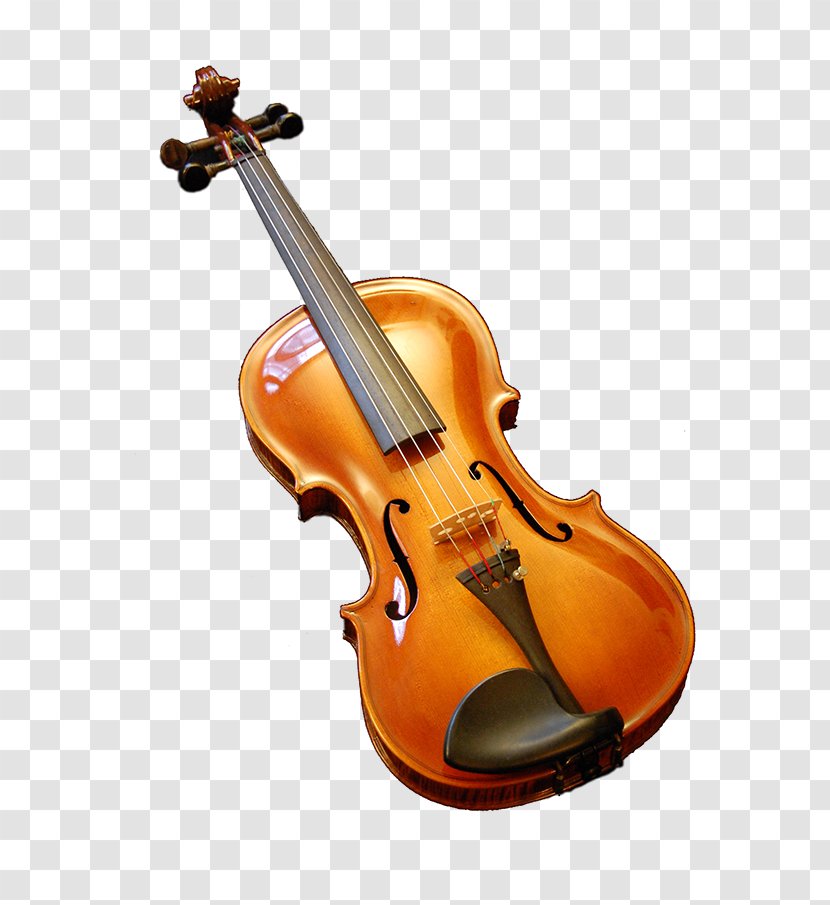 Bass Violin Violone Viola Fiddle - Cartoon Transparent PNG