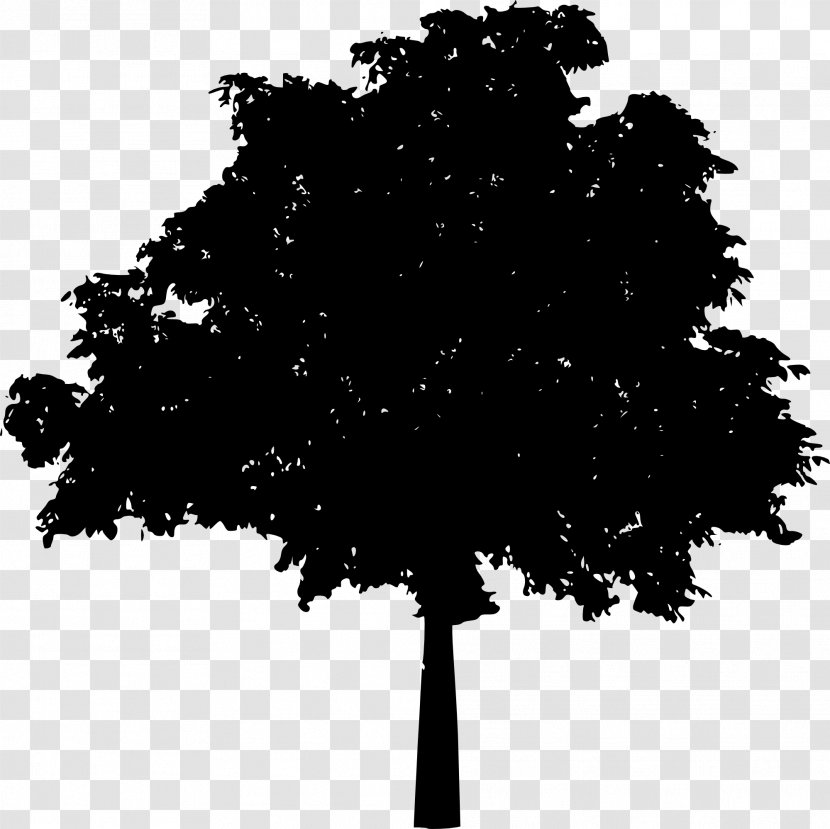 Tree Silhouette Drawing Clip Art - Black And White Transparent PNG