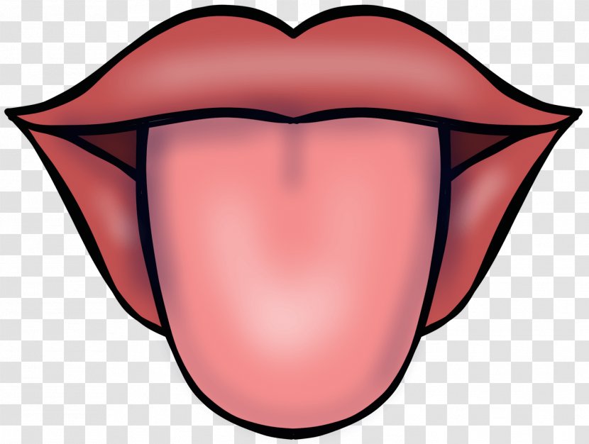 Tongue Mouth Lip Phonation Human Tooth - Cartoon - Taste Buds Transparent PNG