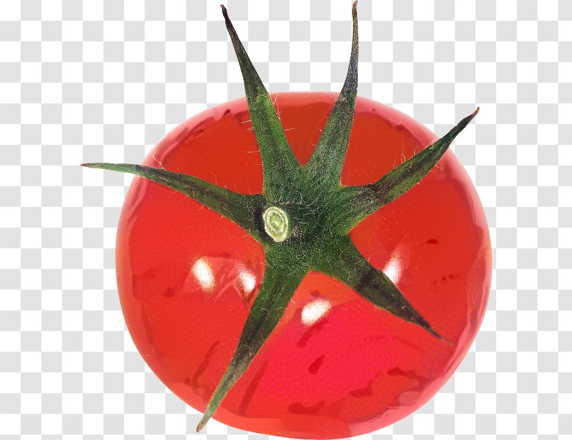 Vegetable Cartoon - Plant - Fruit Transparent PNG