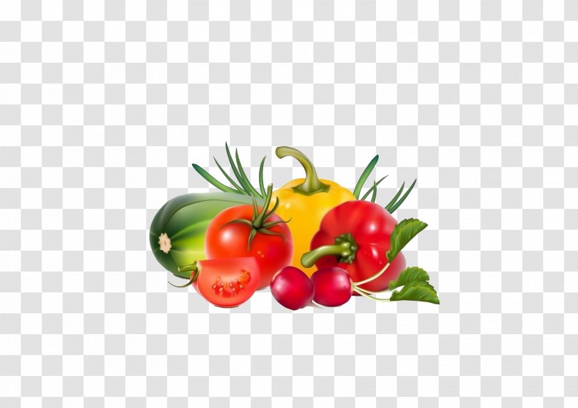 Vegetable Fruit Illustration - Diet Food - Fresh Vegetables Transparent PNG