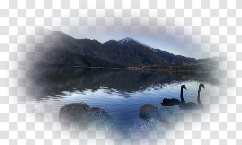 Loch Water Resources Lake District Inlet Desktop Wallpaper - Panorama Transparent PNG