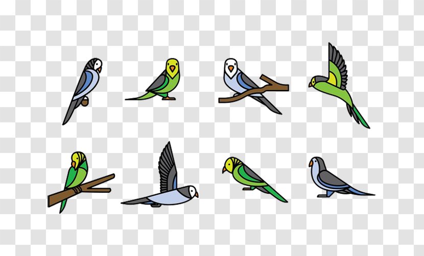 Parrot Bird Budgerigar - Fauna - Sparrow Birds Small Animals Transparent PNG