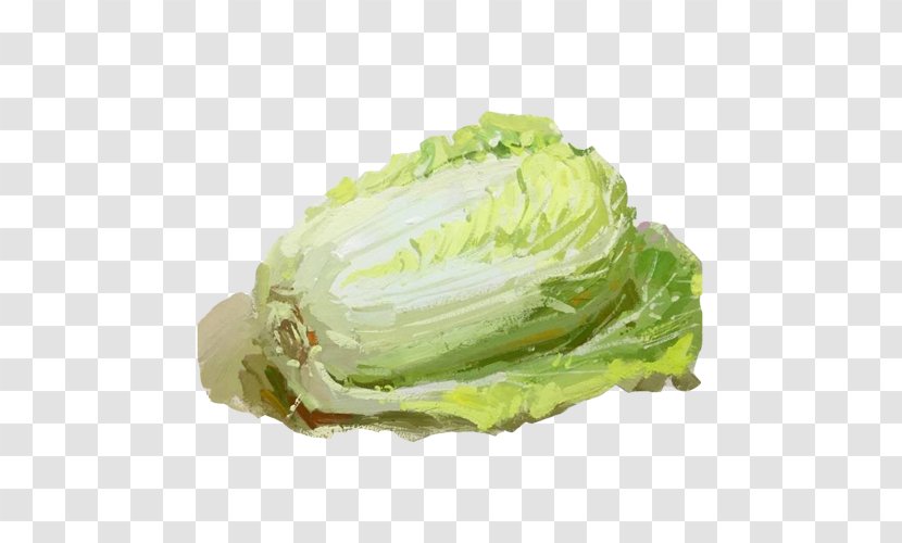 Romaine Lettuce Cabbage Vegetable Spring Greens - Cruciferous Vegetables - Large Hand Painting Material Picture Transparent PNG