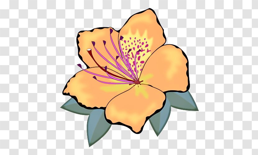 Floral Blossom - Wildflower - Mallow Family Transparent PNG