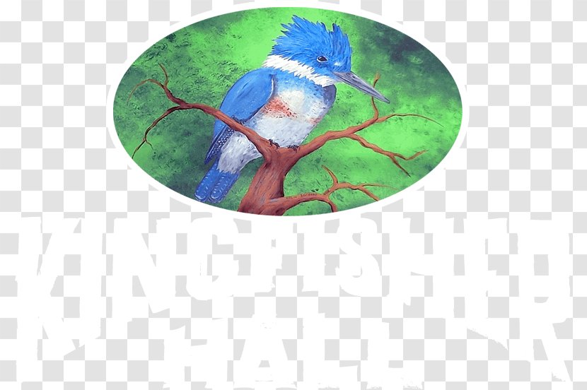 Macaw Cobalt Blue Beak Christmas Ornament - Organism Transparent PNG