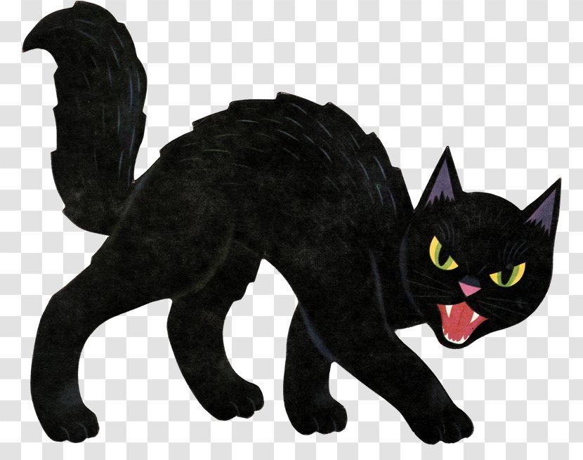 Scottish Fold Halloween Black Cat Jack-o'-lantern Clip Art - Mammal - Decoration Transparent PNG