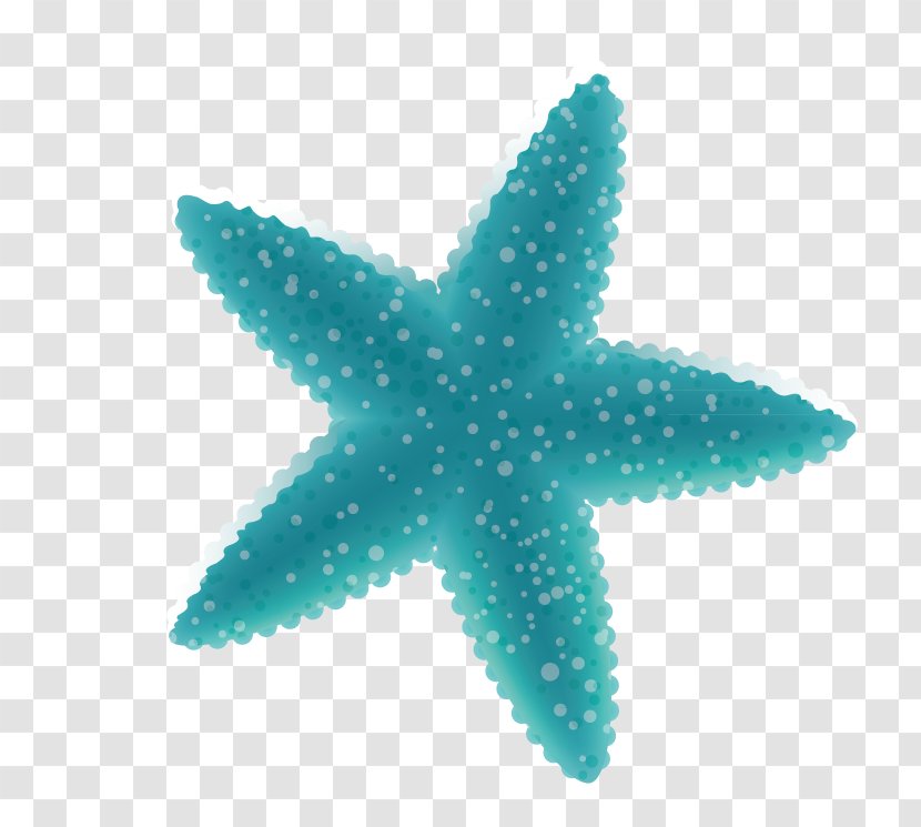 Starfish Icon - Invertebrate - Fat Transparent PNG