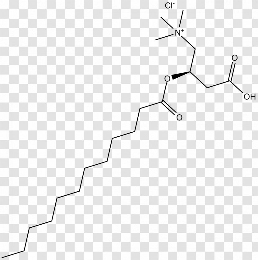 Line Point Angle White - Diagram Transparent PNG