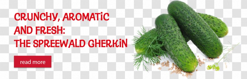 Pickled Cucumber Natural Foods Diet Food - Spreewald Gherkins Transparent PNG