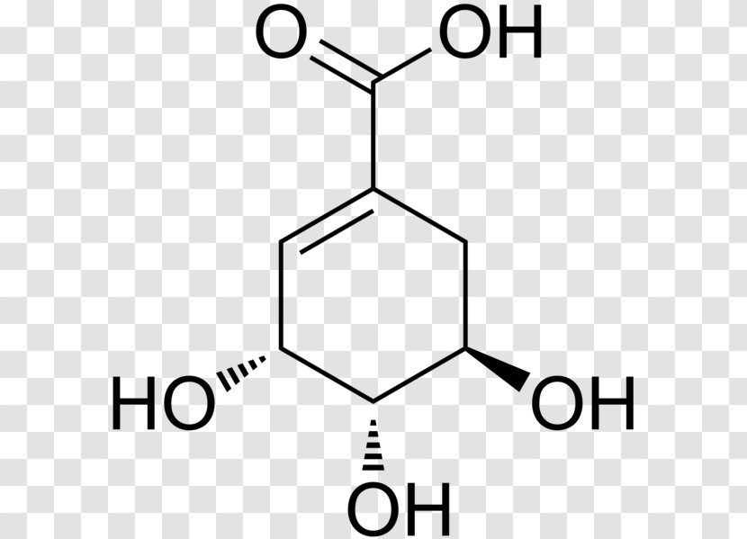 Shikimic Acid Shikimate Pathway Chemical Compound Chemistry - Diagram - Illicium Verum Transparent PNG