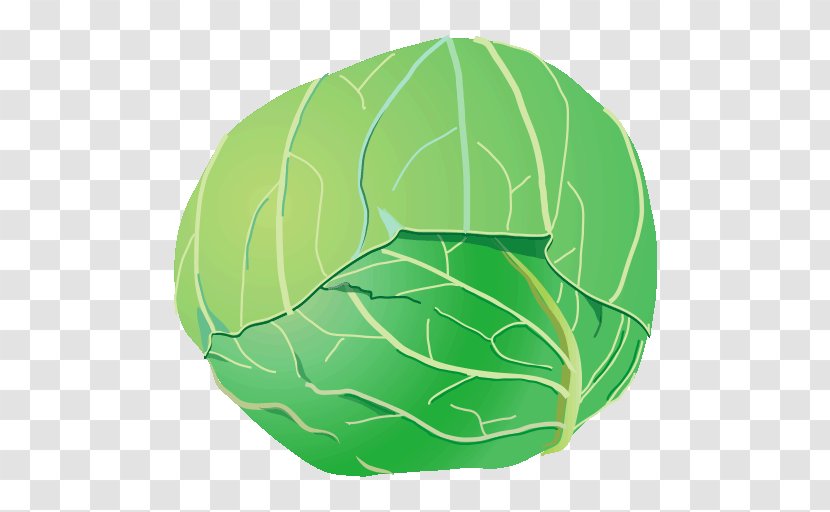 Cabbage Green - Organism Transparent PNG