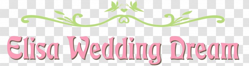 Wedding Photography Planner Marriage Bride - Organization Transparent PNG