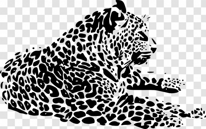 Leopard Cheetah Tiger Jaguar Whiskers - Small To Medium Sized Cats Transparent PNG