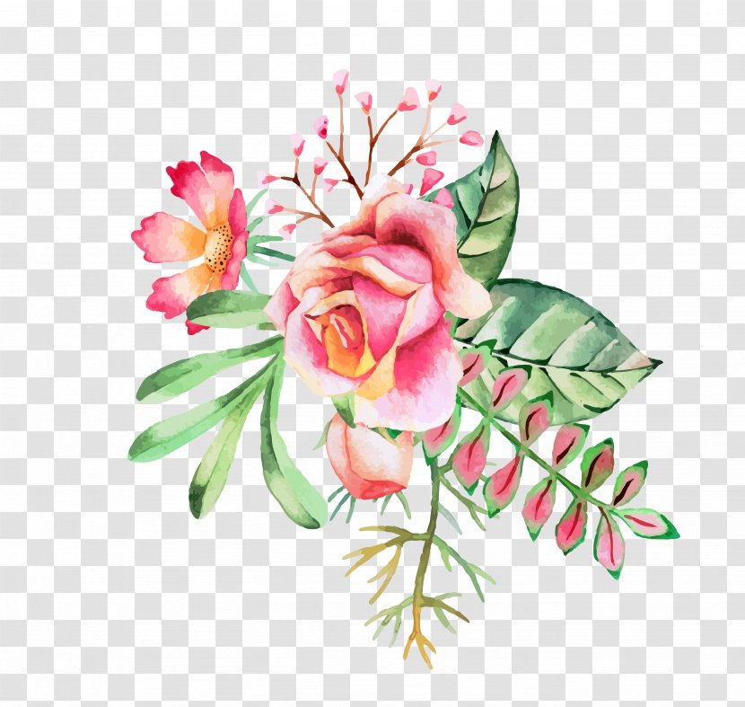 Watercolor: Flowers Watercolor Painting Floral Design Clip Art - Borders And Frames - Astrantia Major Transparent PNG