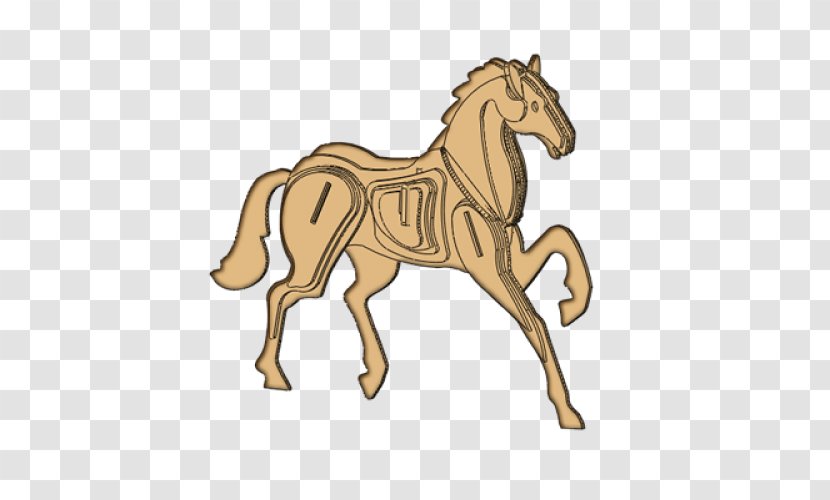 Mustang Foal Pony Stallion Colt Transparent PNG