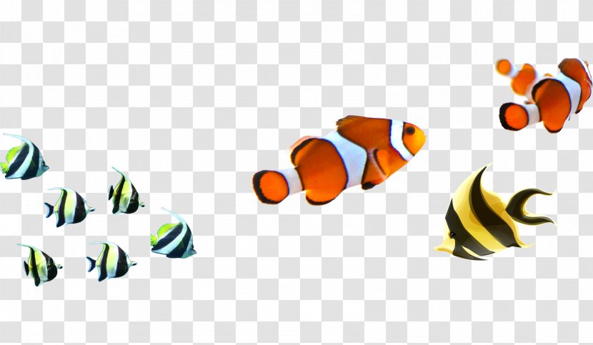 Angelfish Clownfish Clip Art - Tropical Fish - Pictures Transparent PNG