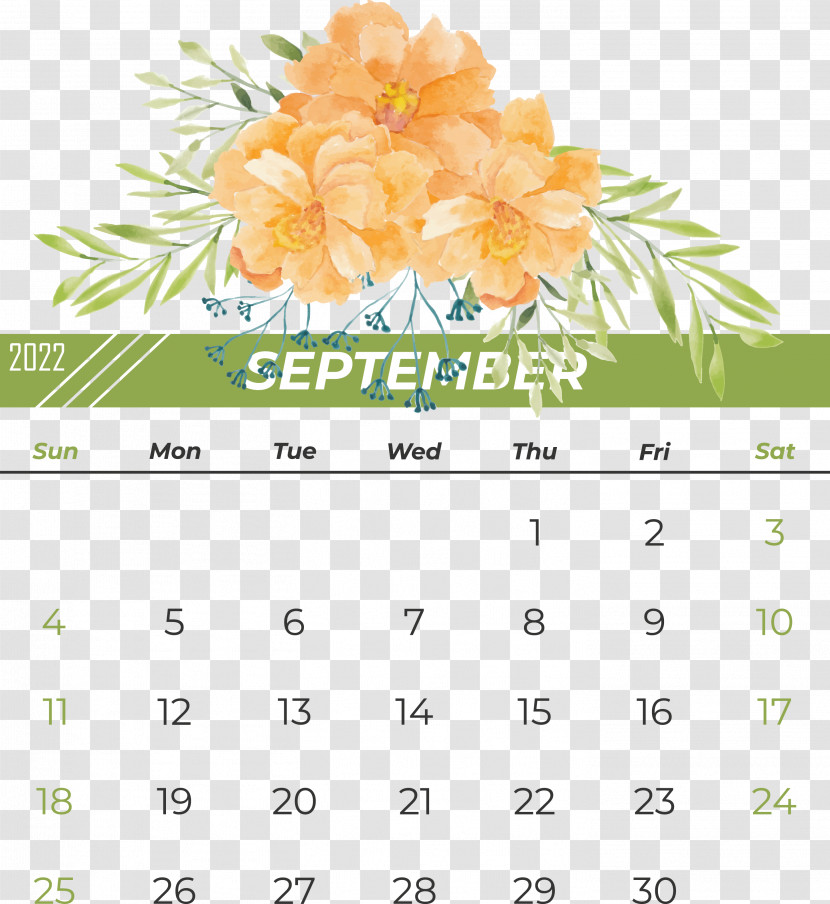 Floral Design Transparent PNG