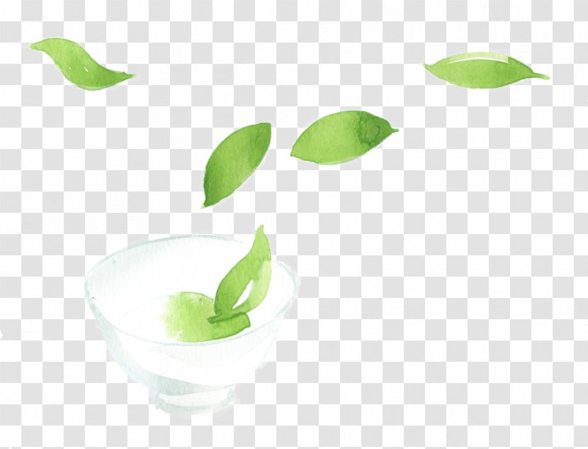 Leaf Green Plant Stem Transparent PNG