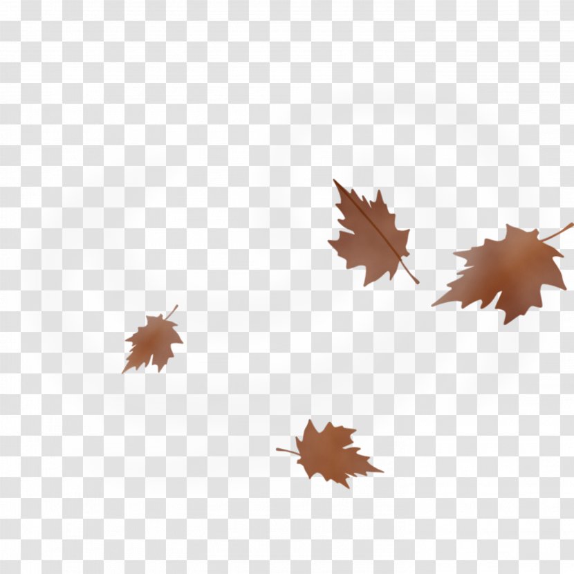 Watercolor Leaf - Windy - Maple Plane Transparent PNG