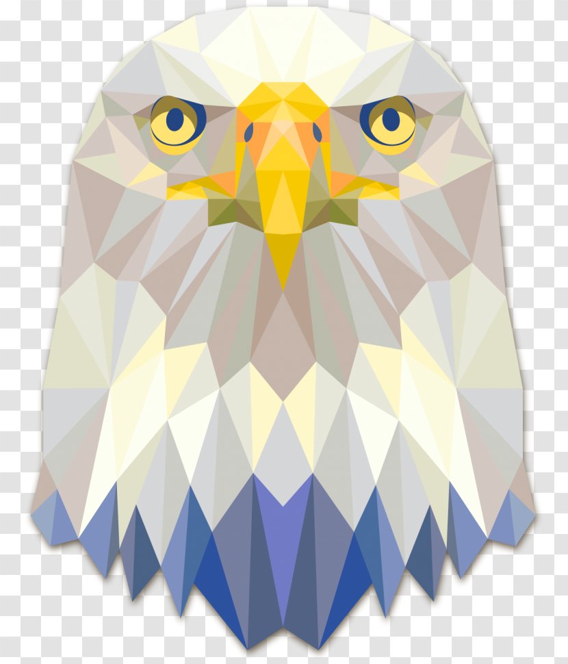 Bald Eagle Geometry Triangle Bird - Twodimensional Space Transparent PNG