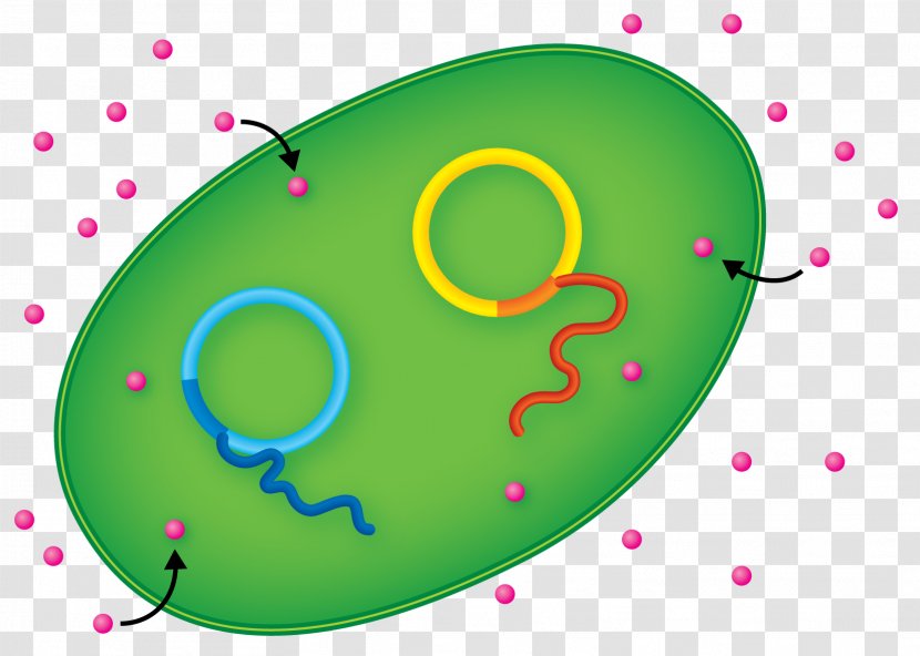 E. Coli Protein Production International Genetically Engineered Machine Eindhoven University Of Technology - Acid - E Clipart Transparent PNG