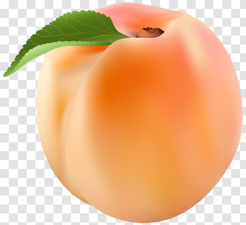 Peach Clip Art - Apple - Image Transparent PNG