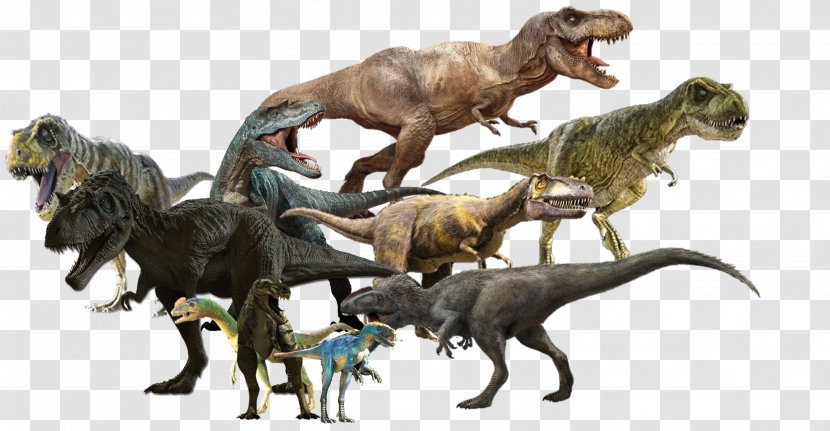 Dinosaur King Tyrannosaurus Guanlong Daspletosaurus Alioramus - Nanotyrannus Transparent PNG