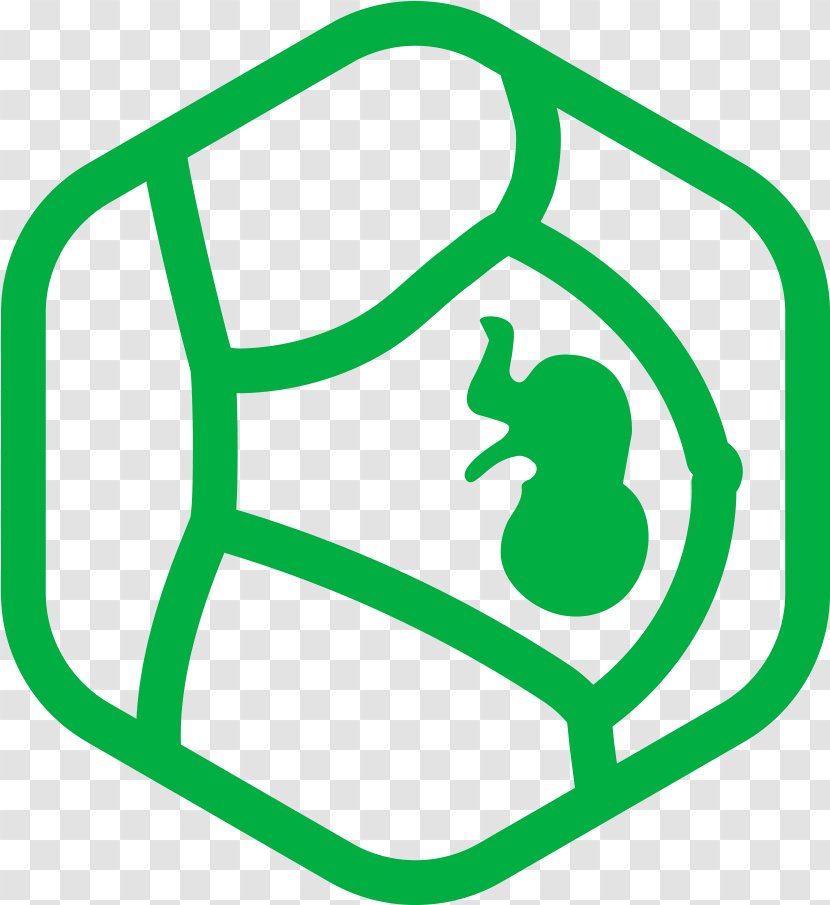 Web Design - Pharmacy - Symbol Green Transparent PNG
